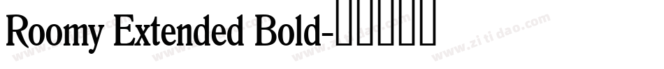 Roomy Extended Bold字体转换